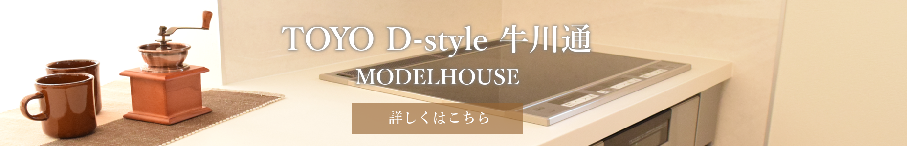 TOYO D-style牛川通