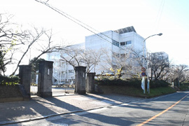 TOYO D-style牛川通